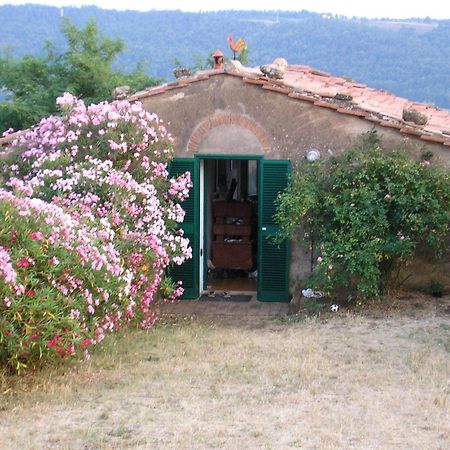 Agriturismo Le Serre Riparbella Rum bild