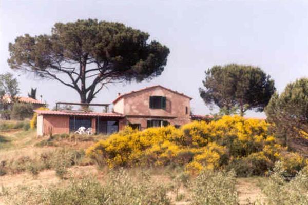 Agriturismo Le Serre Riparbella Rum bild