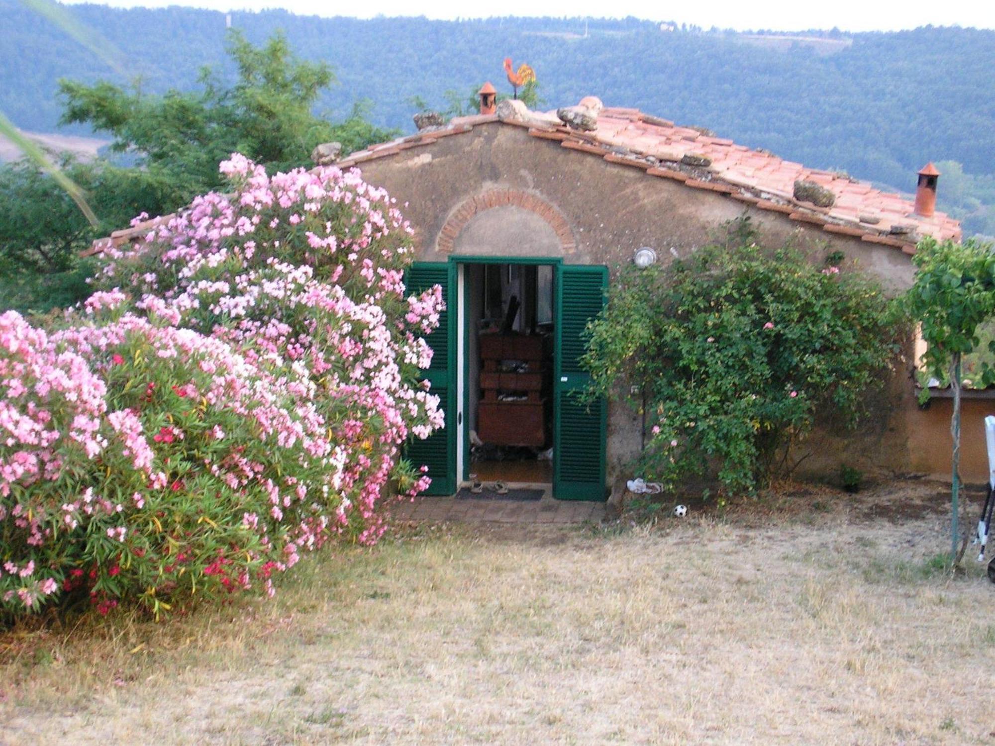 Agriturismo Le Serre Riparbella Rum bild