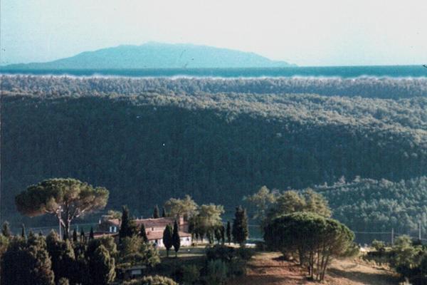 Agriturismo Le Serre Riparbella Exteriör bild