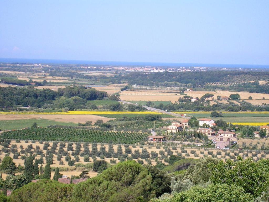 Agriturismo Le Serre Riparbella Exteriör bild