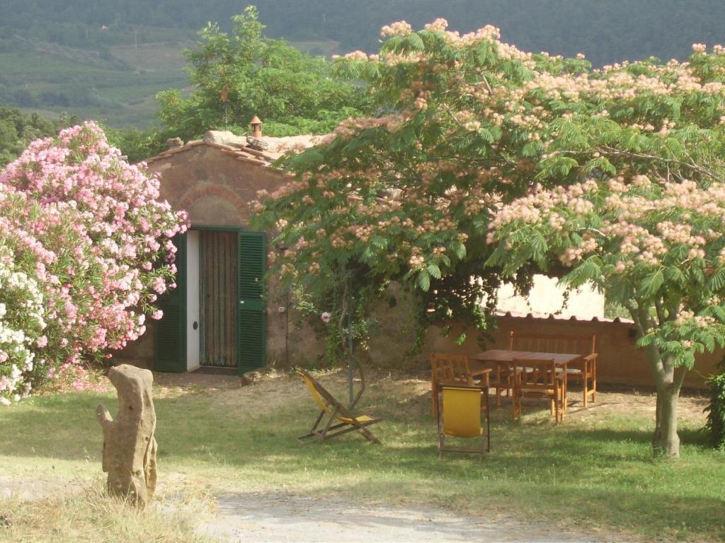 Agriturismo Le Serre Riparbella Rum bild