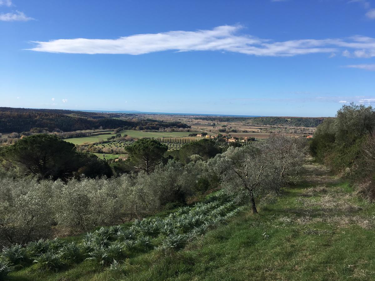 Agriturismo Le Serre Riparbella Exteriör bild